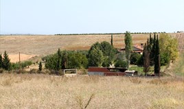 Земельна ділянка 10000 m² на Кассандрі (Халкідіки)