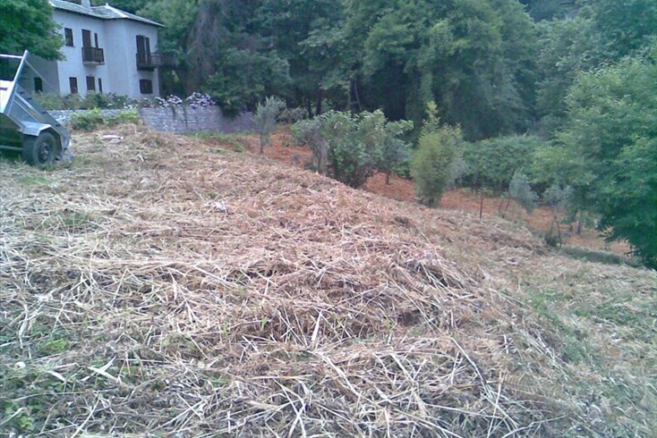 Realty photo 1