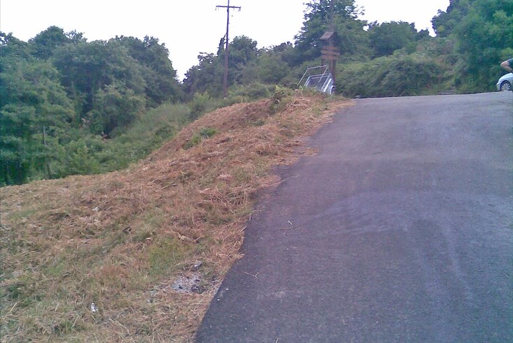 Realty photo 3