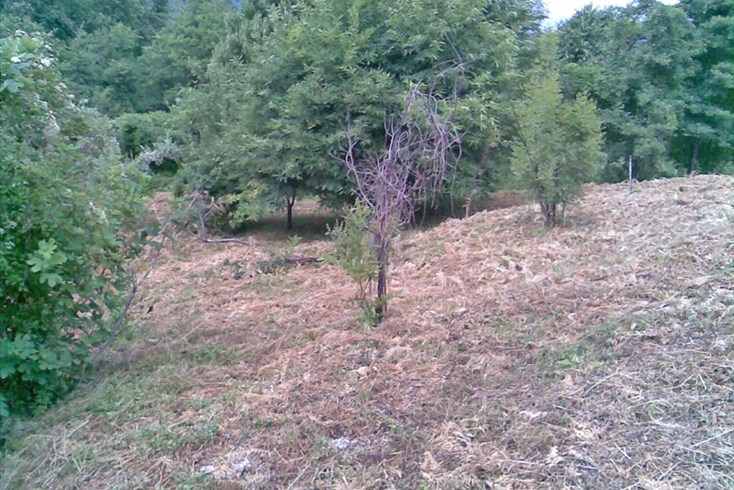 Realty photo 2