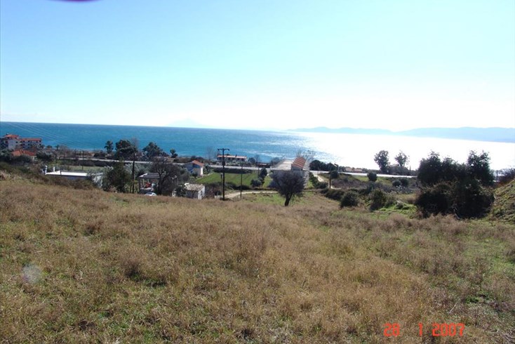 Realty photo 3