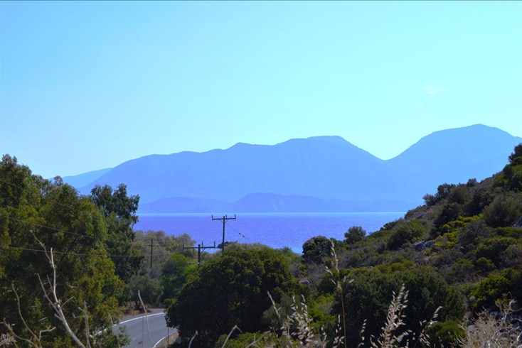 Realty photo 2