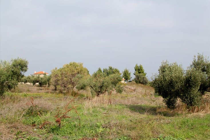 Realty photo 3