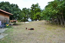 Property 26551 photo 2