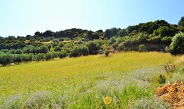 հողատարածք 4000 m² Խալկիդիկի-Կասսանդրայում