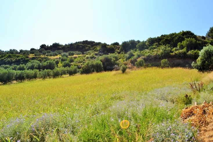 Realty photo 1