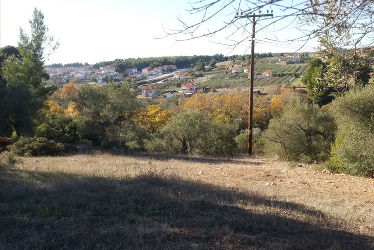 Realty photo 3