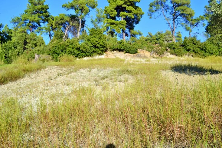 Realty photo 1
