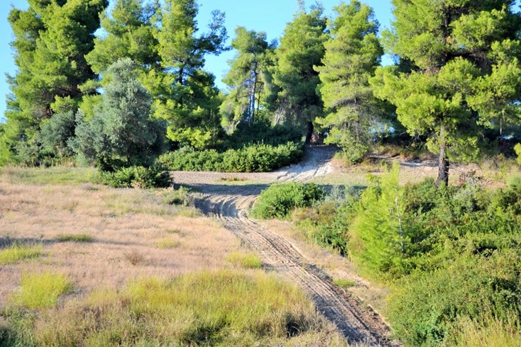 Realty photo 3