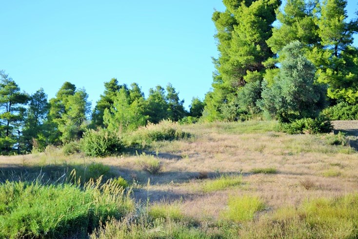 Realty photo 2