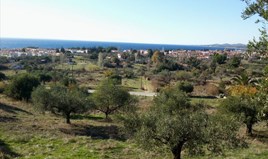 Land 5000 m² auf Sithonia (Chalkidiki)