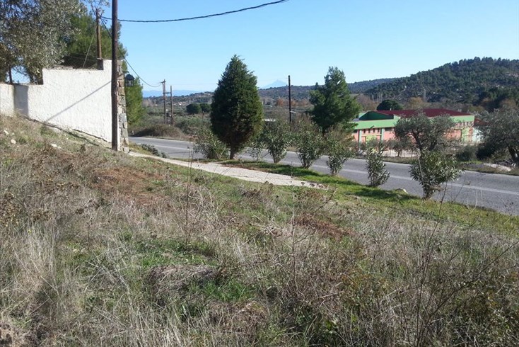 Realty photo 2