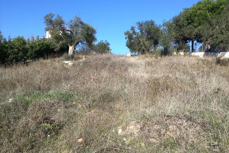 Realty photo 3