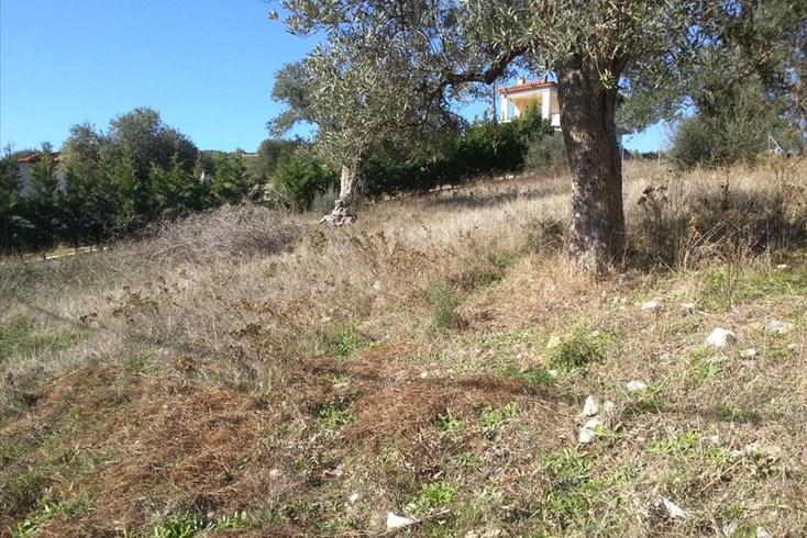 Realty photo 1
