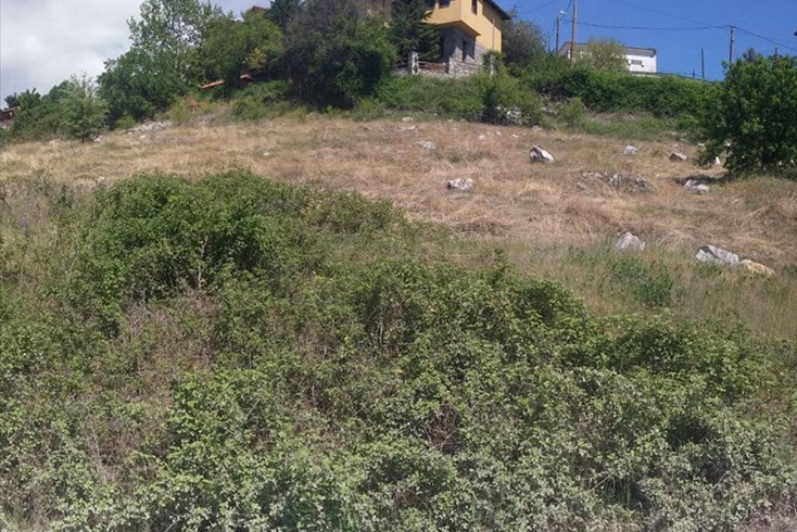 Realty photo 3