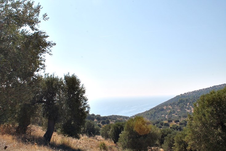 Realty photo 2