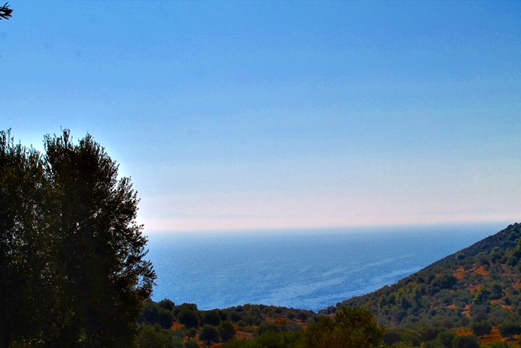 Realty photo 3