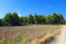 Property 26690 photo 1