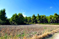 Property 26690 photo 2