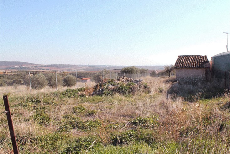 Realty photo 2