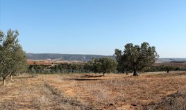 Land in Chalkidiki