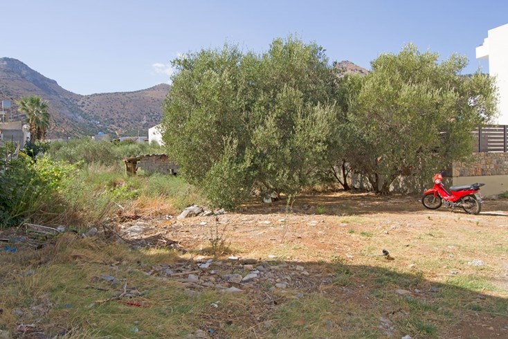 Realty photo 2