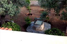 Property 26783 photo 19