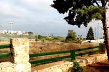 Property 26783 photo 23