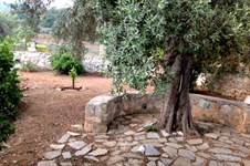 Property 26783 photo 26