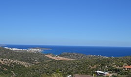 Парцел 5500 m² на Крит