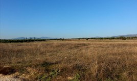 Land 16600 m² in Sithonia, Chalkidiki
