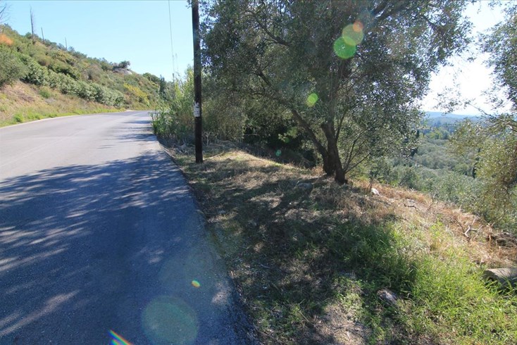 Realty photo 1