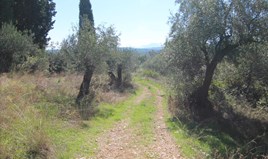 Land 3000 m² auf Korfu