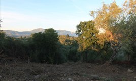 Land 5740 m² auf Korfu