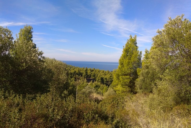 Realty photo 2