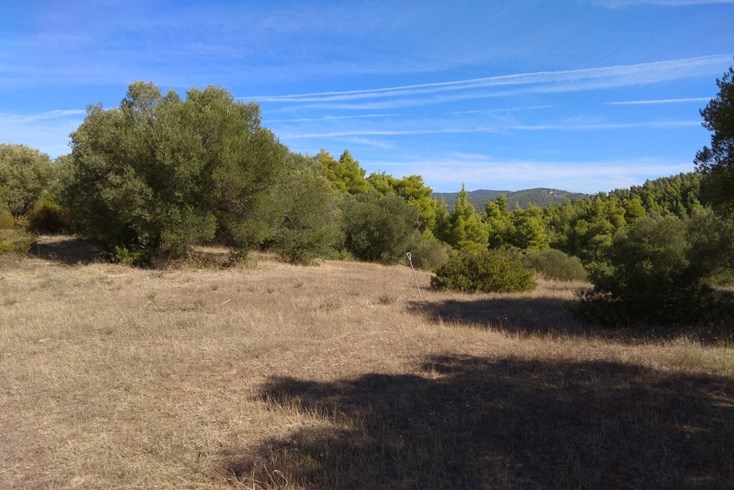 Realty photo 3
