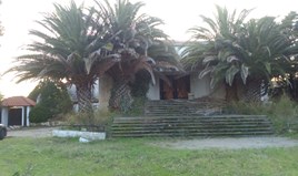 Geschaeft 1200 m² auf Athos (Chalkidiki)