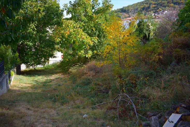 Realty photo 1
