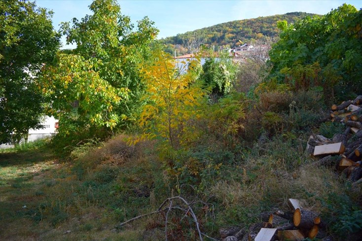Realty photo 2