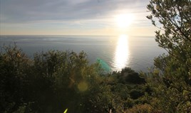 Land 8000 m² in Corfu
