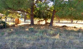 հողատարածք 2000 m² Խալկիդիկի-Սիթոնիայում