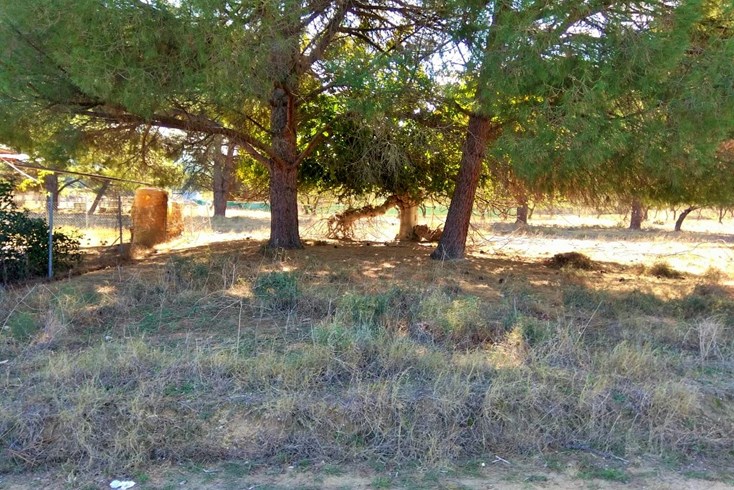 Realty photo 1