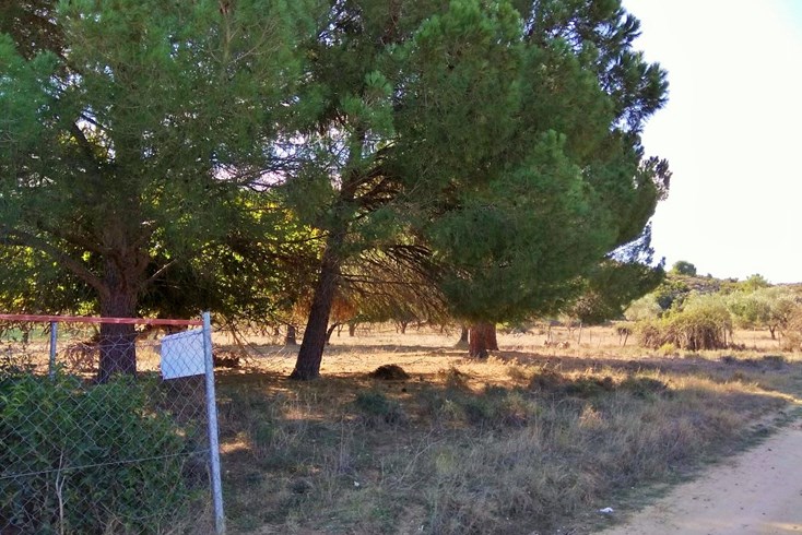 Realty photo 2