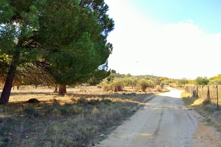Realty photo 3