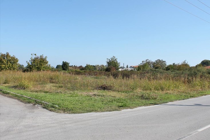 Realty photo 1