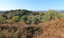Land 6000 m² auf Korfu