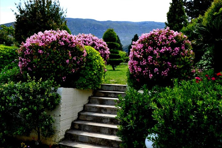 Realty photo 3
