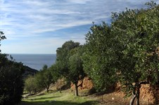 Property 26972 photo 20