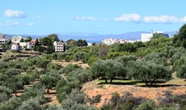 Land 9848 m² in Crete