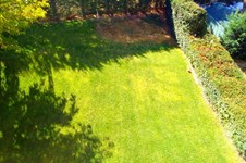 Property 26981 photo 35